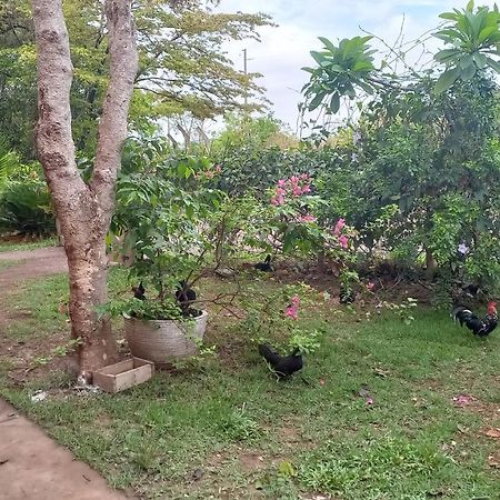 Chacara Pousada Sagui Cuiabá Exterior foto
